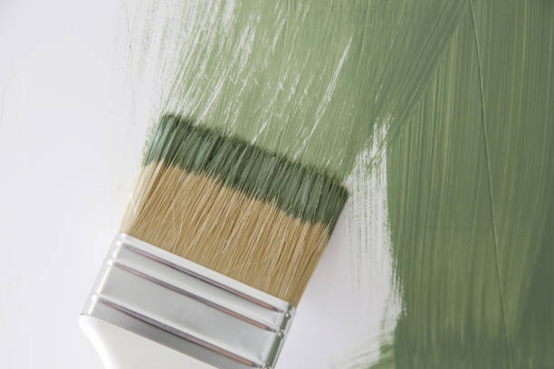 Trusted Bedminster, NJ Mold Removal Experts