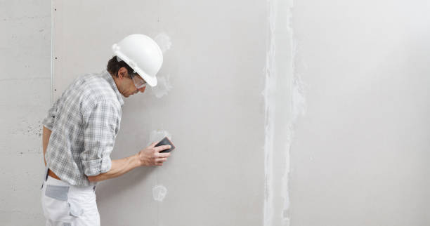 Best Basement Mold Removal  in Bedminster, NJ