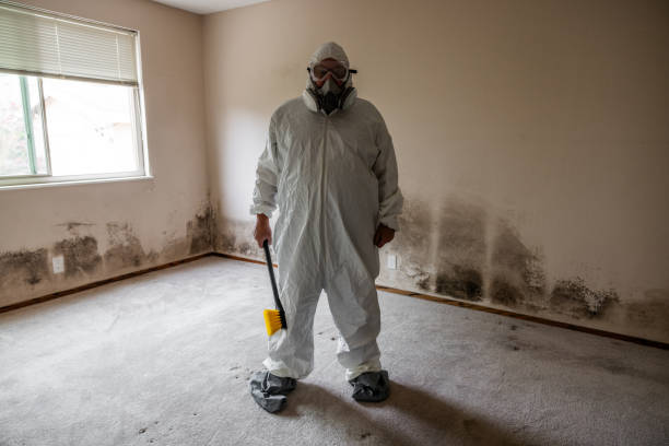 Best Commercial Mold Inspection  in Bedminster, NJ