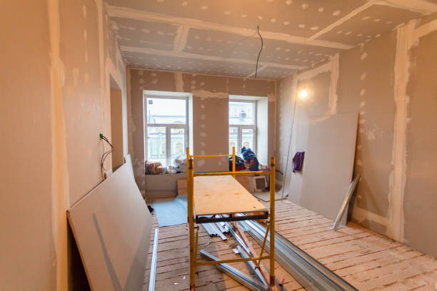 Best Mold Damage Restoration  in Bedminster, NJ